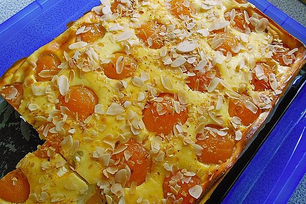 Apricot Quark Sheet Cake
