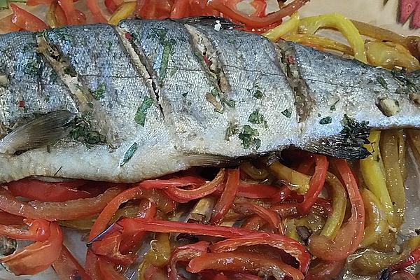 Asia – Trout