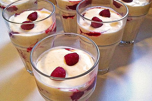 Bavarian Cream with Raspberry Pulp and Ladyfingers