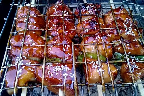 BBQ Grill Skewers Japanese Yakitori