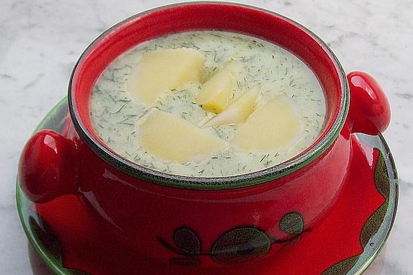 Berlin Dill Soup