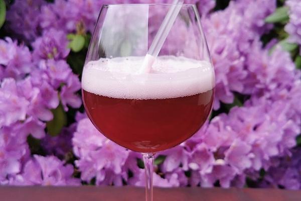Berliner Weisse with Shot