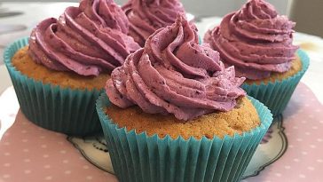 Berry Coconut Popsicle Popsicle