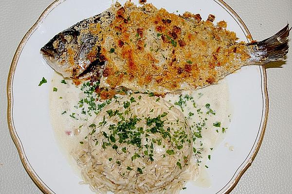 Breton Sea Bream