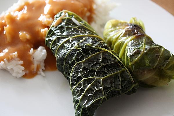 Cabbage Wrap