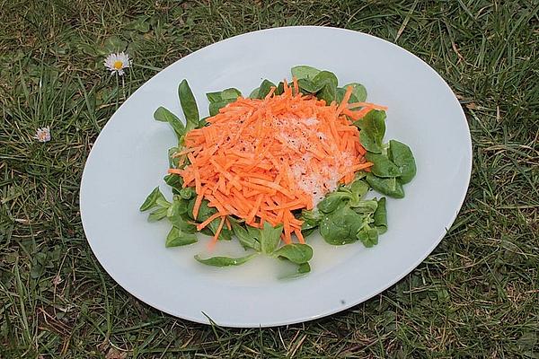 Carrot Salad with Horseradish and Lamb`s Lettuce