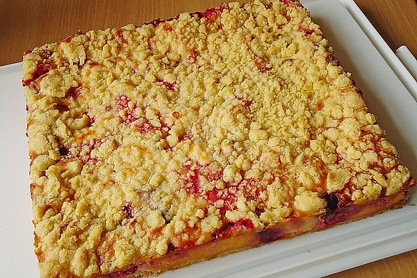 Cheesecake with Fruit