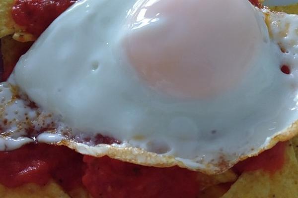 Chilaquiles with Salsa and Fried Egg
