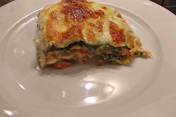 Children`s Lasagna Viva Italia