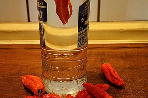 Chilli Schnapps