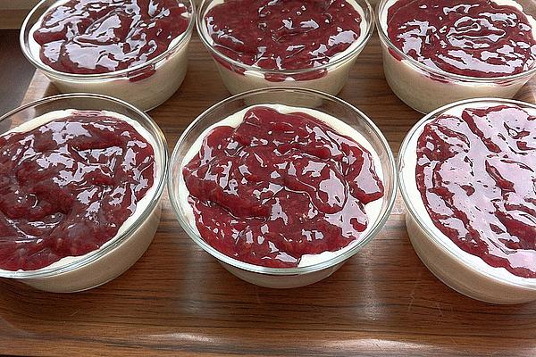 Coconut Rice Pudding II with Raspberry Sauce