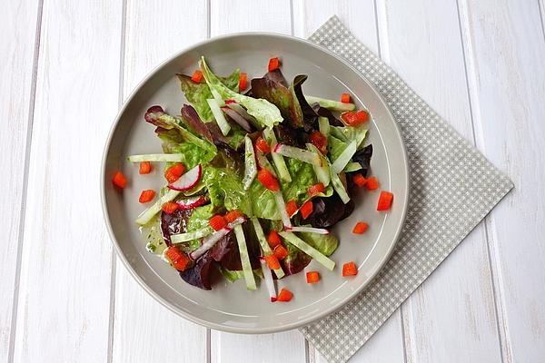 Colorful Lettuce