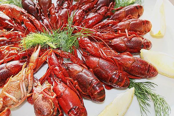 Cooked Finnish Crayfish