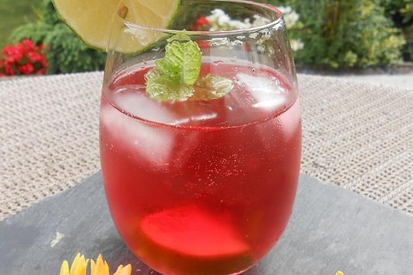 Cranberry Gin &amp; Tonic