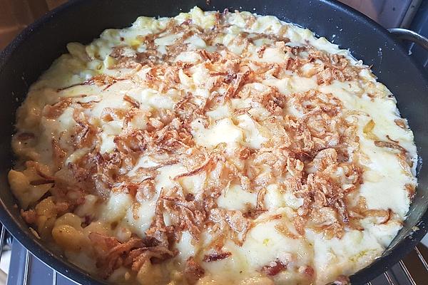 Creamy Cheese Spaetzle Casserole