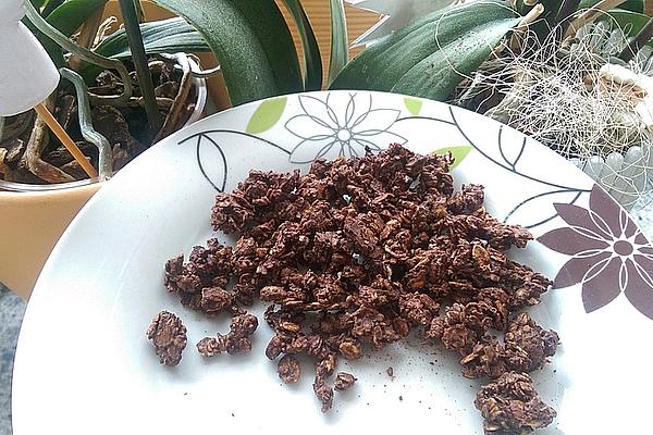 Crispy Chocolate Muesli with Dates and Egg
