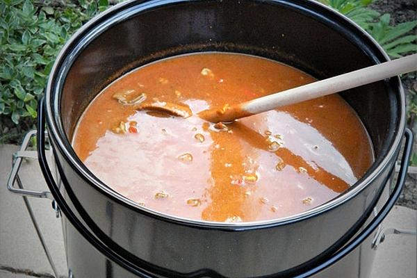 Cyberladys Gyro Soup