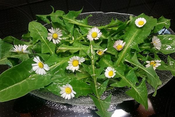 Daisy and Dandelion Salad