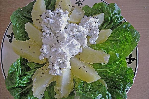 Danish Curd