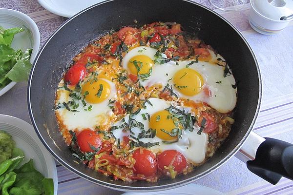 Egg and Tomato Pan