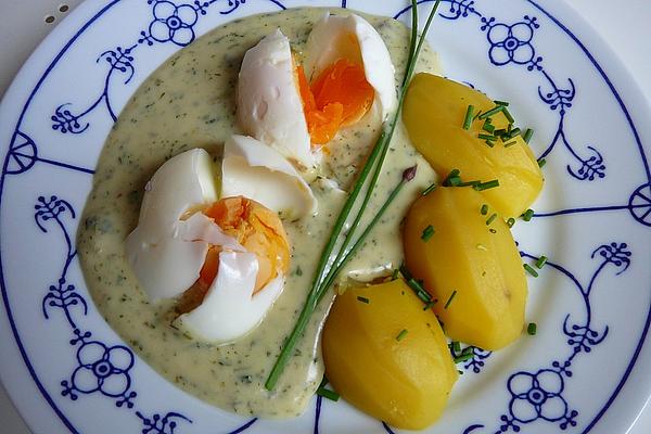 Egg Ragout in Herb Sauce