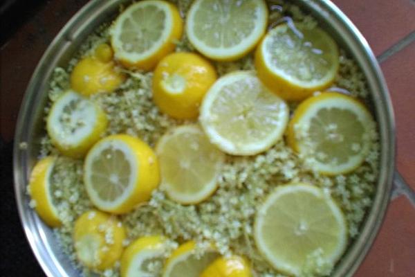 Elderflower Juice Without Sugar