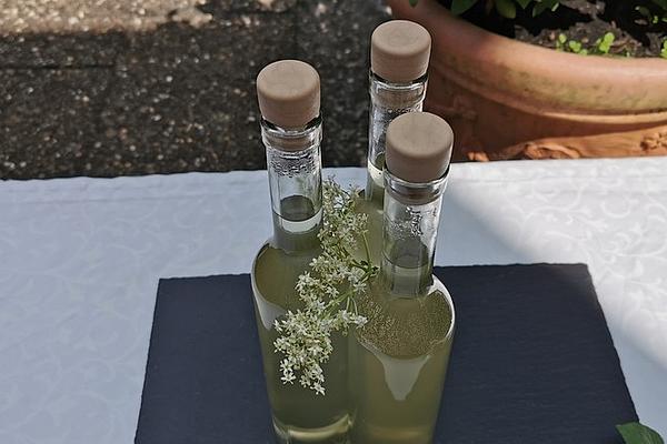 Elderflower Liqueur Ala Günthi