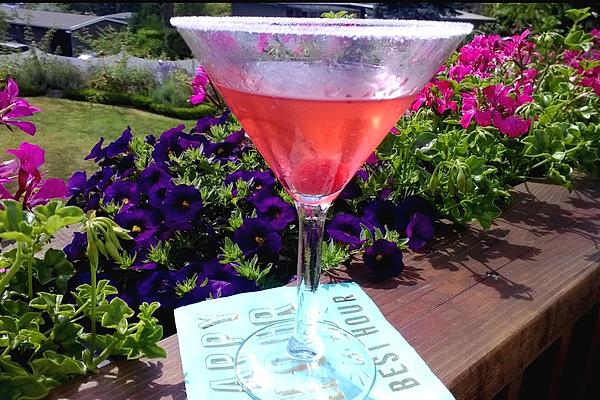 English Rose Cocktail