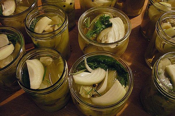 Fennel `Toscana`