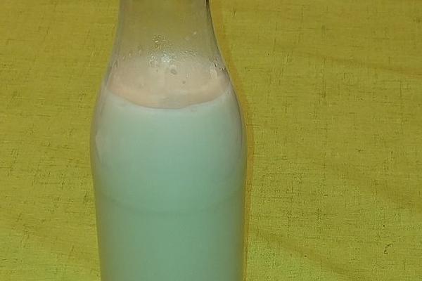 Fermented Creamy Oat Milk or Oat Cream with No Added Sugar in Thermomix