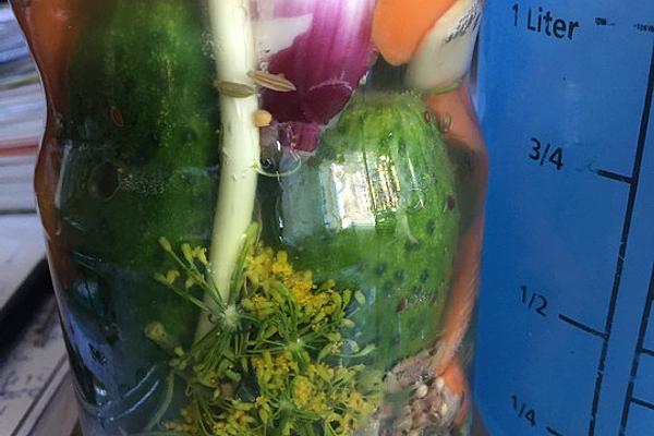 Fermented Cucumbers with Carrots