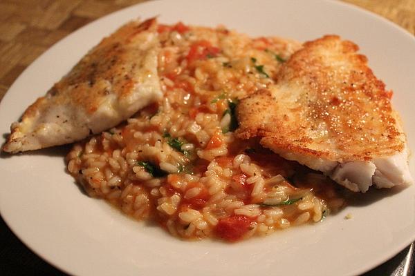 Fine Tomato Risotto