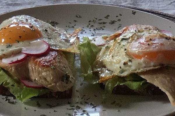 Fitness Protein Sandwich