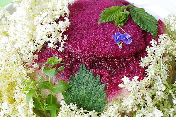 Forest Berry Dome with Vanilla Yogurt