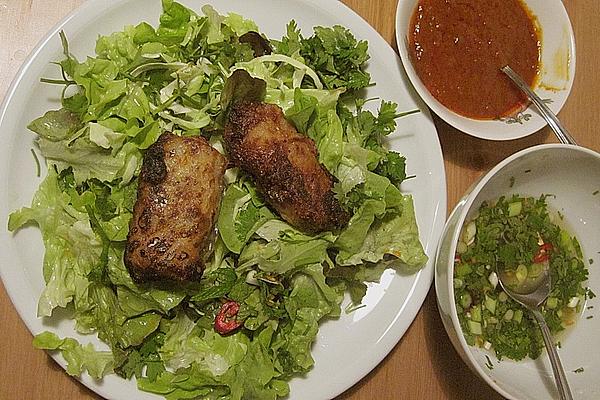 Fresh Spring Rolls from Vietnam