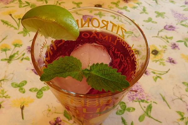 Fruit Lemonade Great-grandmother`s Style