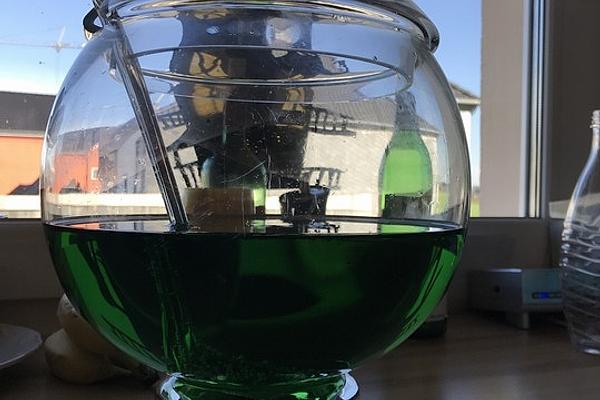 Green Children`s Punch
