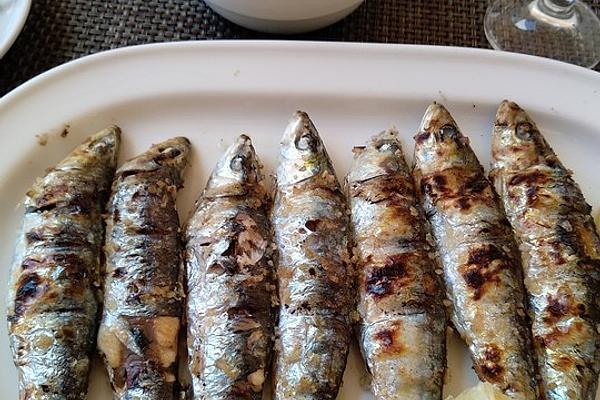 Grilled Sardines