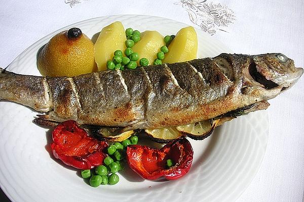 Grilled Trout