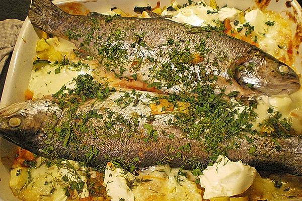 Herbal Trout on Mediterranean Summer Vegetables