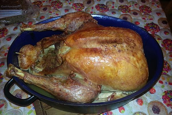 Holiday – Turkey