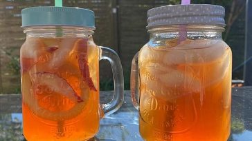 Iced Tea Peach Ala Laabertasche