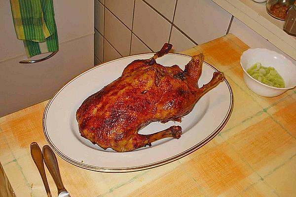 Honey – Duck