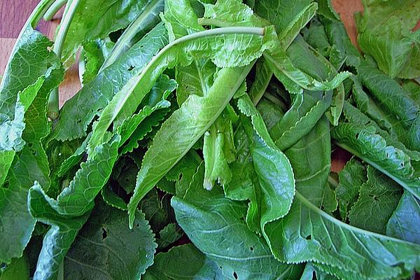 Horseradish – Pesto