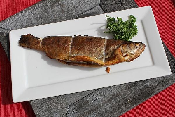 Hot Smoked Trout from Table Smoking Oven
