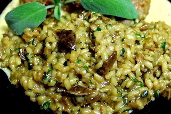 Italian Risotto
