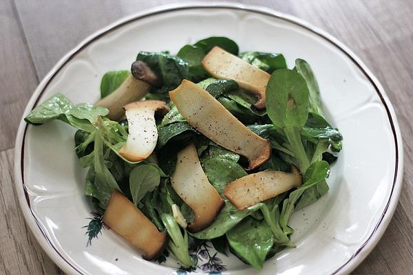 King Oyster Mushrooms on Lamb`s Lettuce