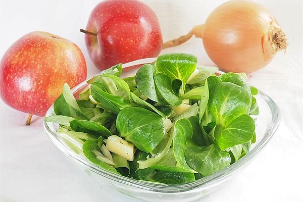 Lamb`s Lettuce with Apple Pieces
