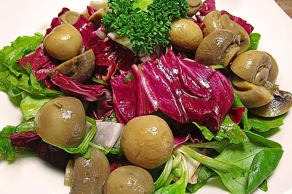 Lamb`s Lettuce with Beer Dressing
