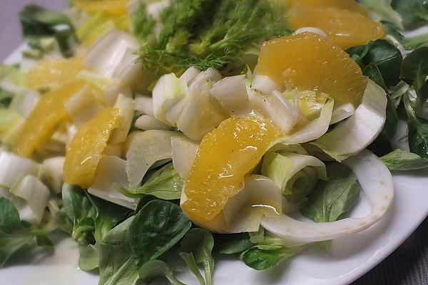 Lamb`s Lettuce with Chicory and Fennel